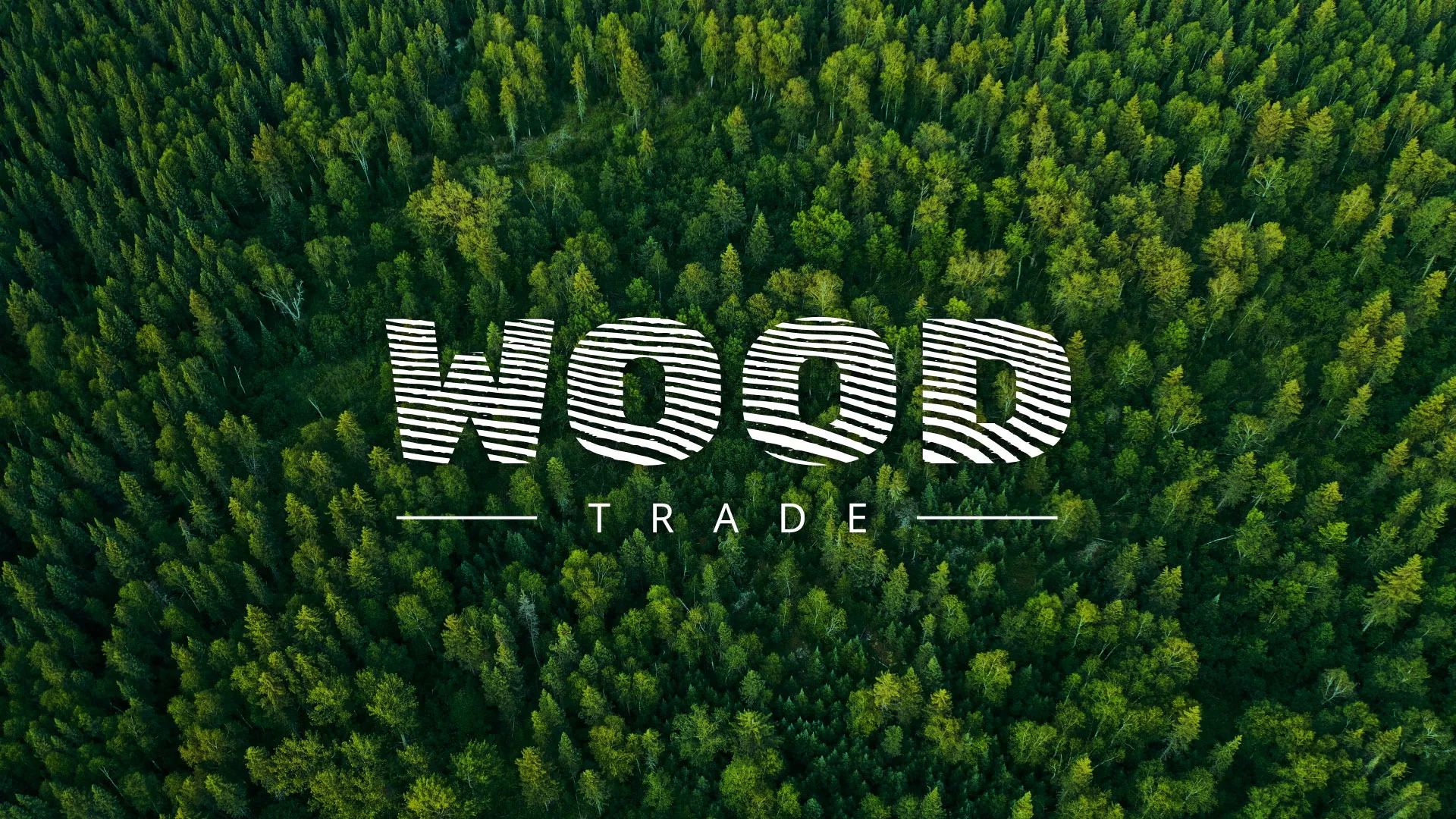 Разработка интернет-магазина компании «Wood Trade» в Томари