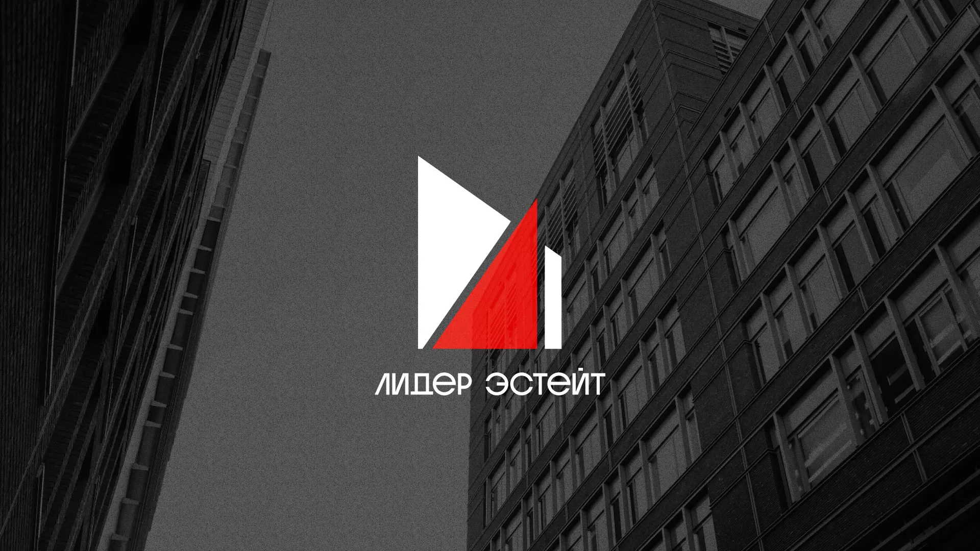 Сделали логотип для агентства недвижимости «Лидер Эстейт» в Томари
